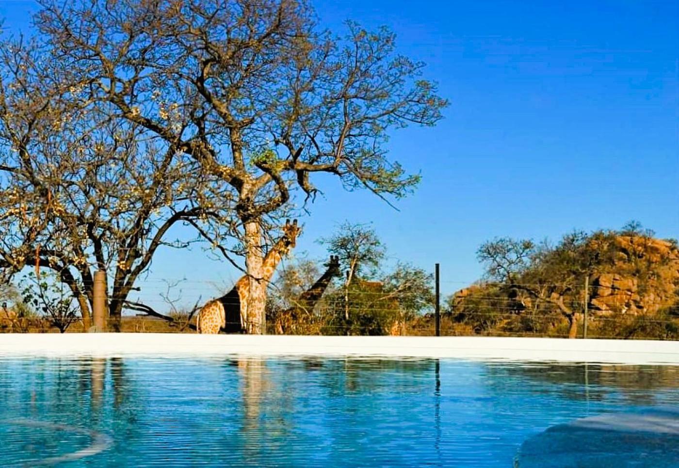 Ngalali Retreat Hotell Grietjie Game Reserve Eksteriør bilde
