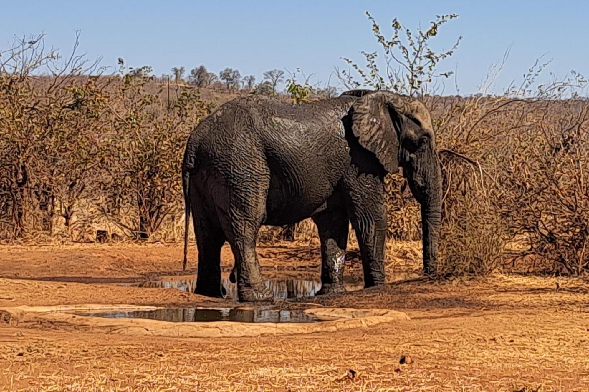 Ngalali Retreat Hotell Grietjie Game Reserve Eksteriør bilde