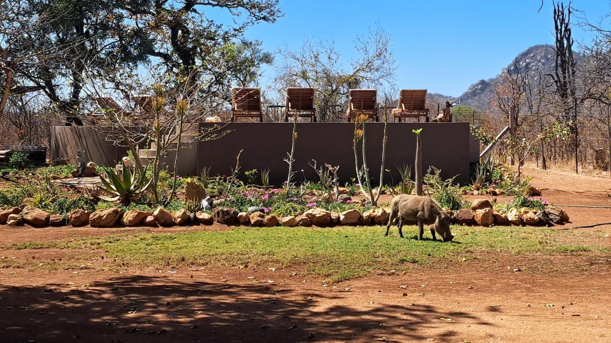Ngalali Retreat Hotell Grietjie Game Reserve Eksteriør bilde