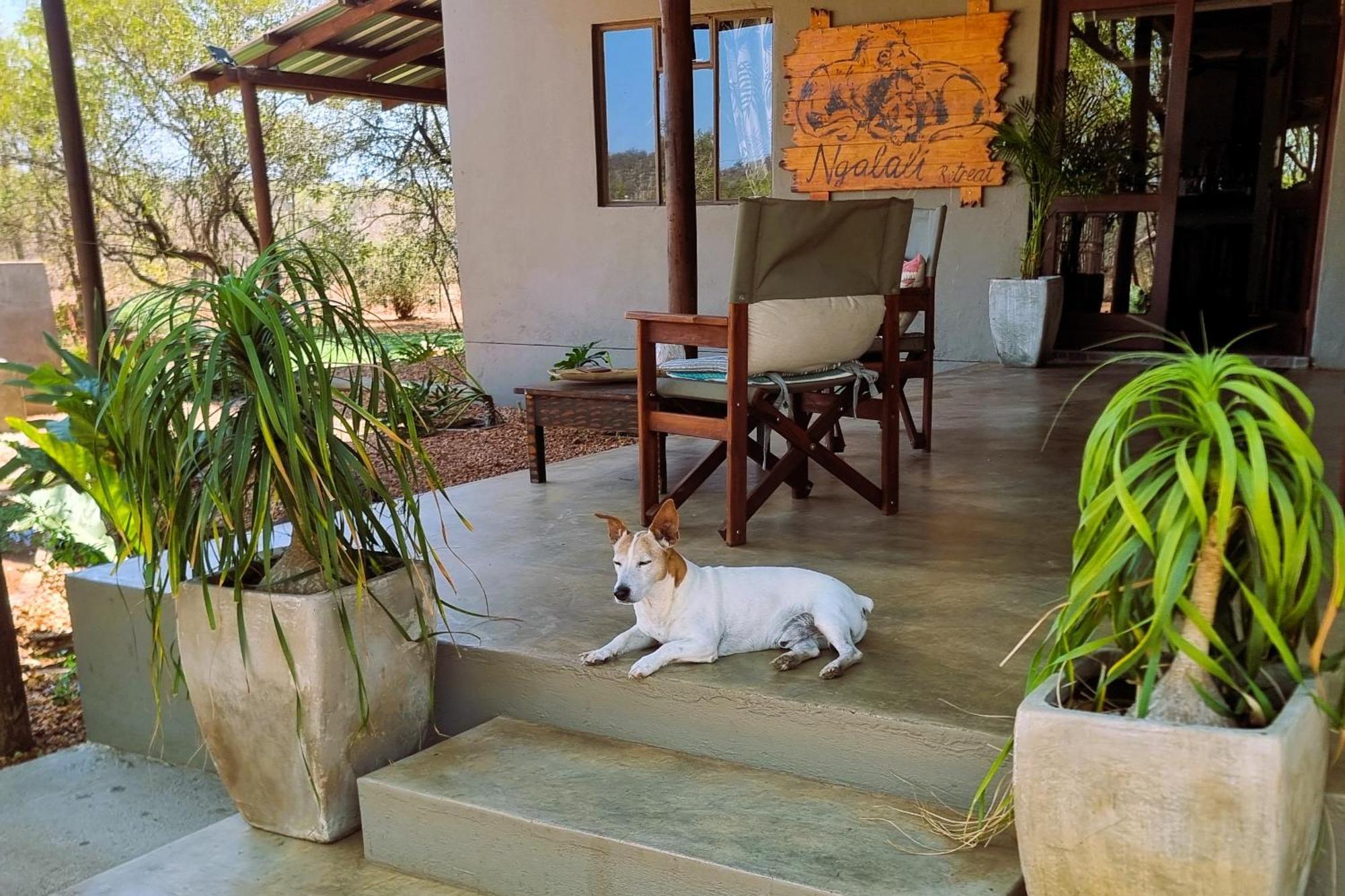 Ngalali Retreat Hotell Grietjie Game Reserve Eksteriør bilde