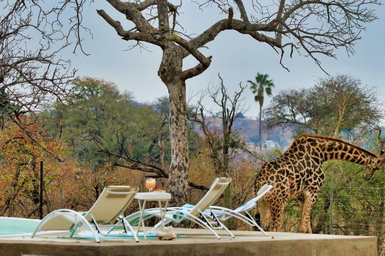 Ngalali Retreat Hotell Grietjie Game Reserve Eksteriør bilde